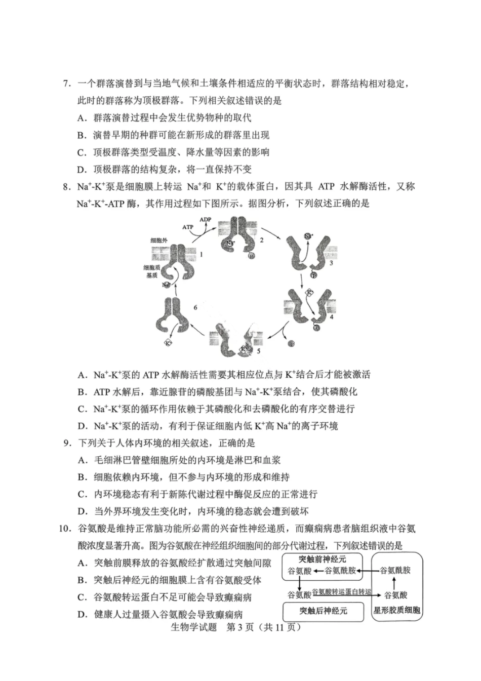 生物试卷吉林长春市2026年高三年级毕业班质量监测(一)（长春一模）(1.6-1.7).pdf_第3页