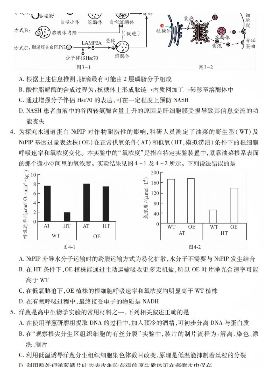 生物试卷四川乐山市高中2023级(2026届)高三年级第一次调查研究考试(乐山一调)(12.28-12.30).pdf_第2页