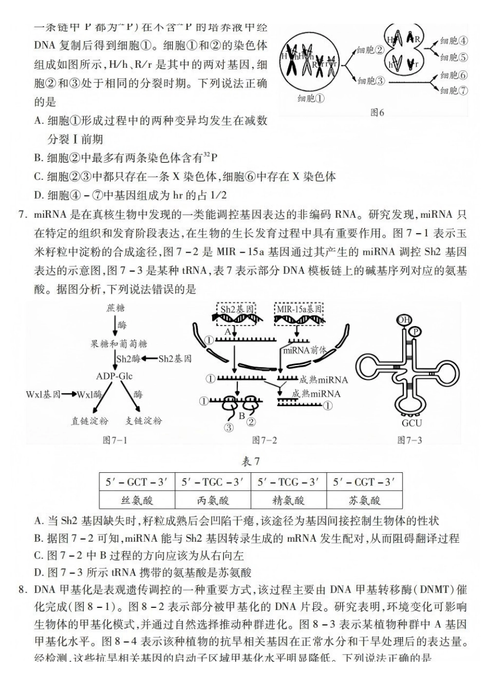 生物试卷四川乐山市高中2023级(2026届)高三年级第一次调查研究考试(乐山一调)(12.28-12.30).pdf_第3页