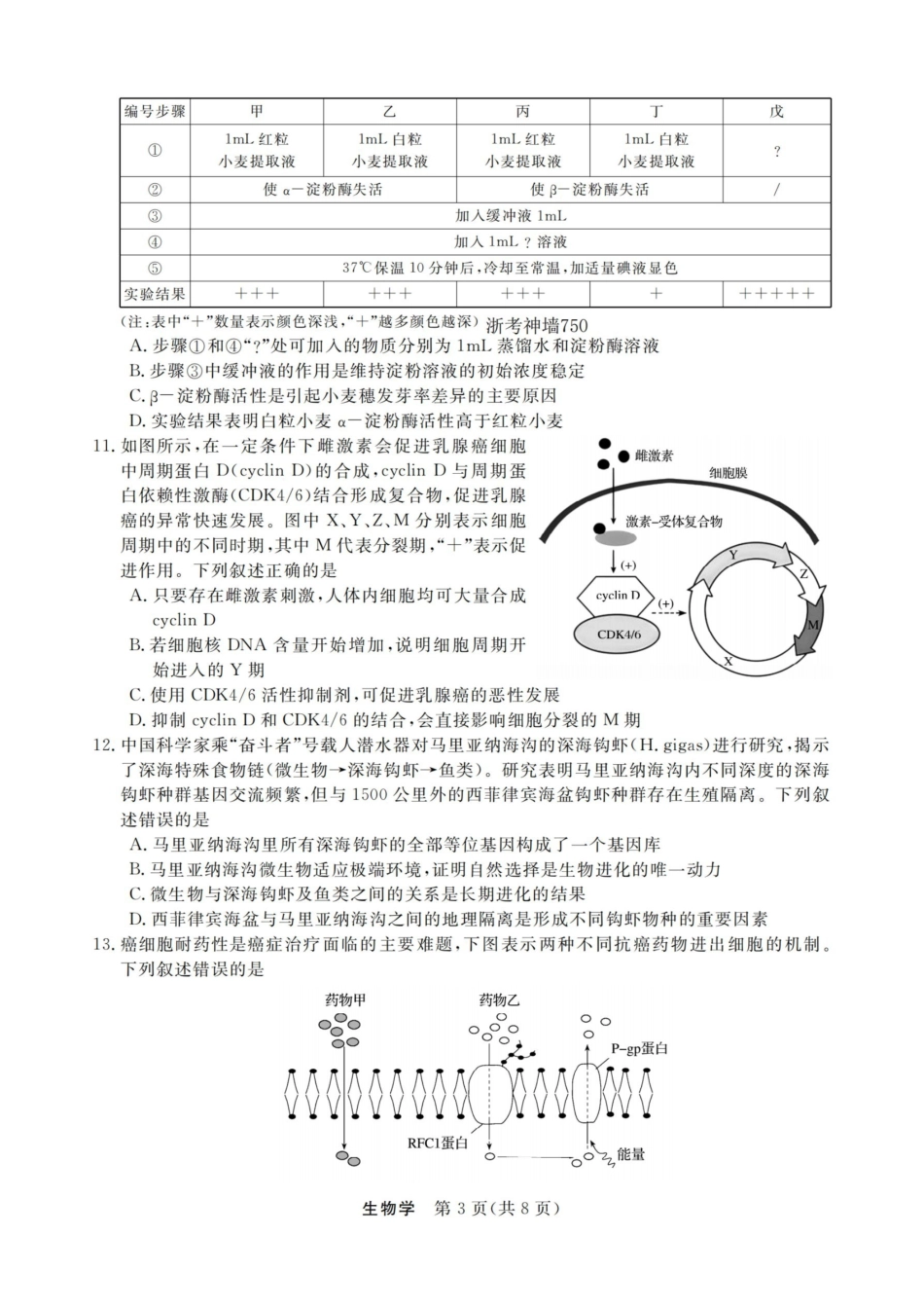 生物试卷浙江强基联盟2025-2026学年高二上学期12月联考(12.23-12.24).pdf_第3页