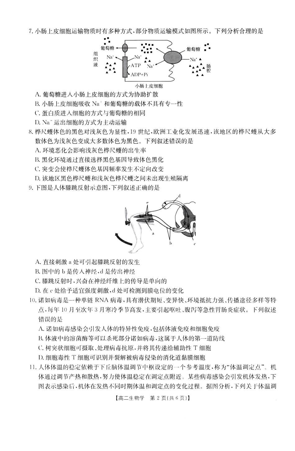 生物学试卷(26-149B)广东H7联盟2025-2026学年高二上学期12月大联考(26-149B)(12.18-12.19).pdf_第2页