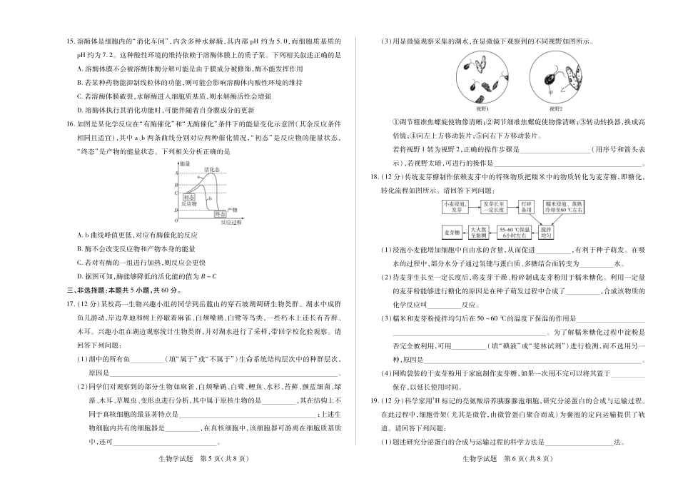 生物学试卷(湖南版)湖南、广西湘一联盟2025-2026学年高一上学期12月月考(12.23-12.24).pdf_第3页
