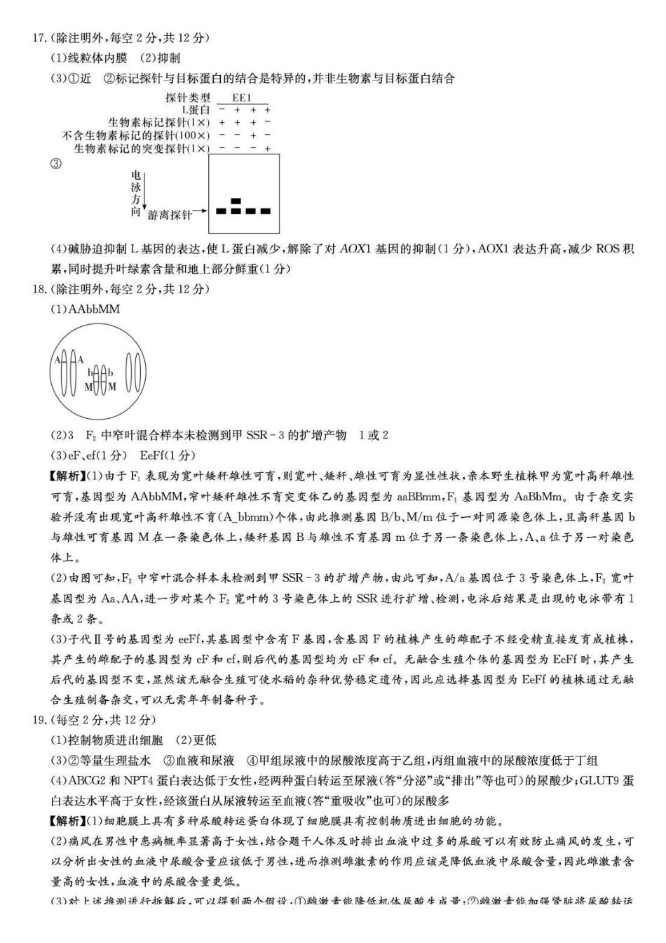 生物炎德英才大联考长郡中学2026届高三月考试卷（五）（1.4-1.5）.pdf_第3页