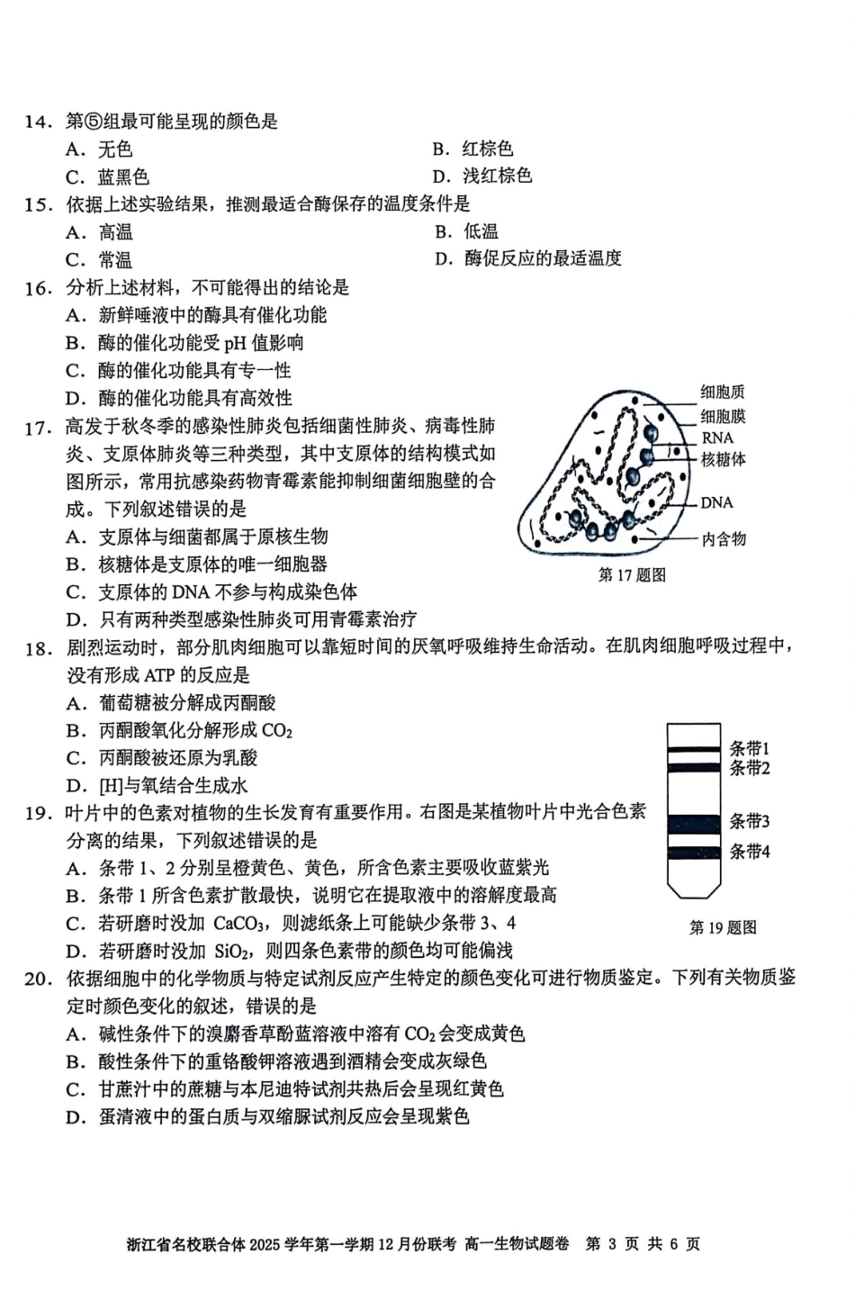 生物浙江名校联合体2025学年第一学期高一年级12月份联考(12.24-12.26).pdf_第3页