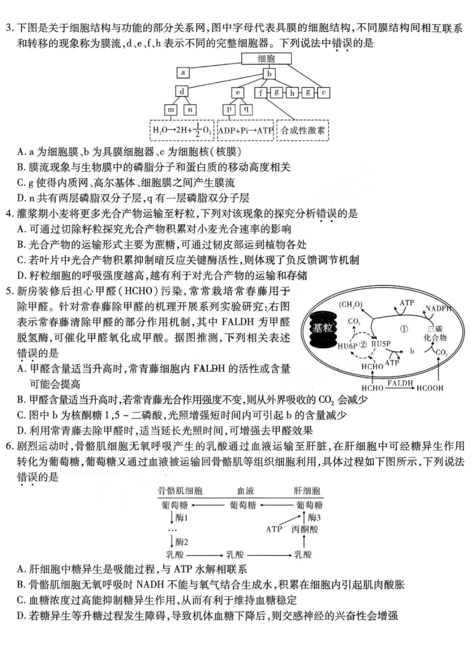 生物重庆市南开中学高2026届高三年级第五次质量检测(1.4-1.5).pdf_第2页