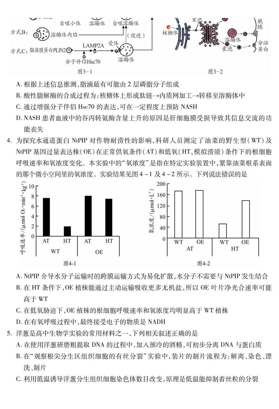 四川乐山市高中2023级第一次调查研究考试生物.pdf_第2页