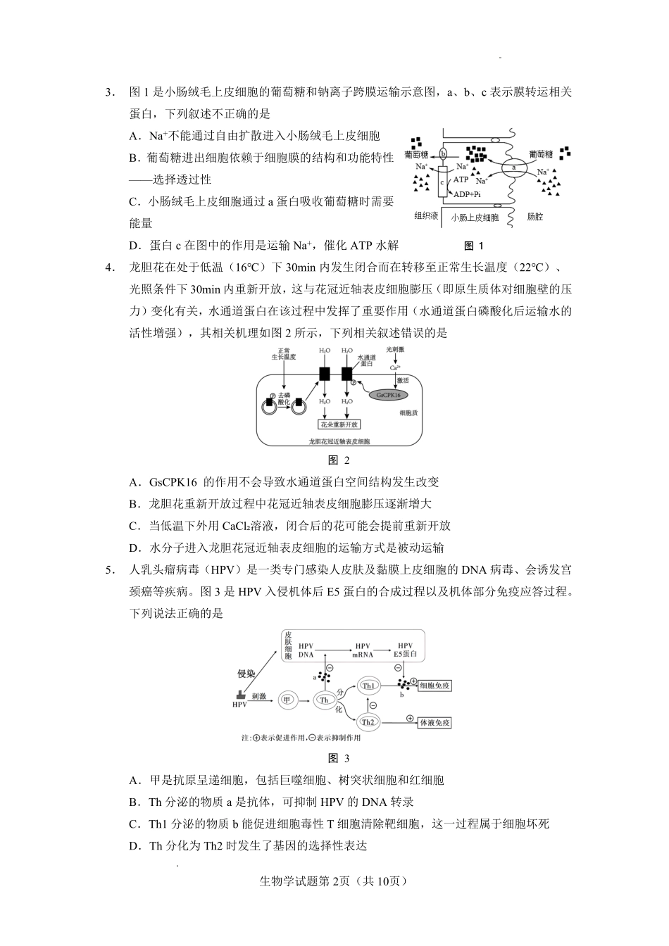 玉溪一中2025一2026学年上学期高三适应性测试（十）生物.pdf_第2页