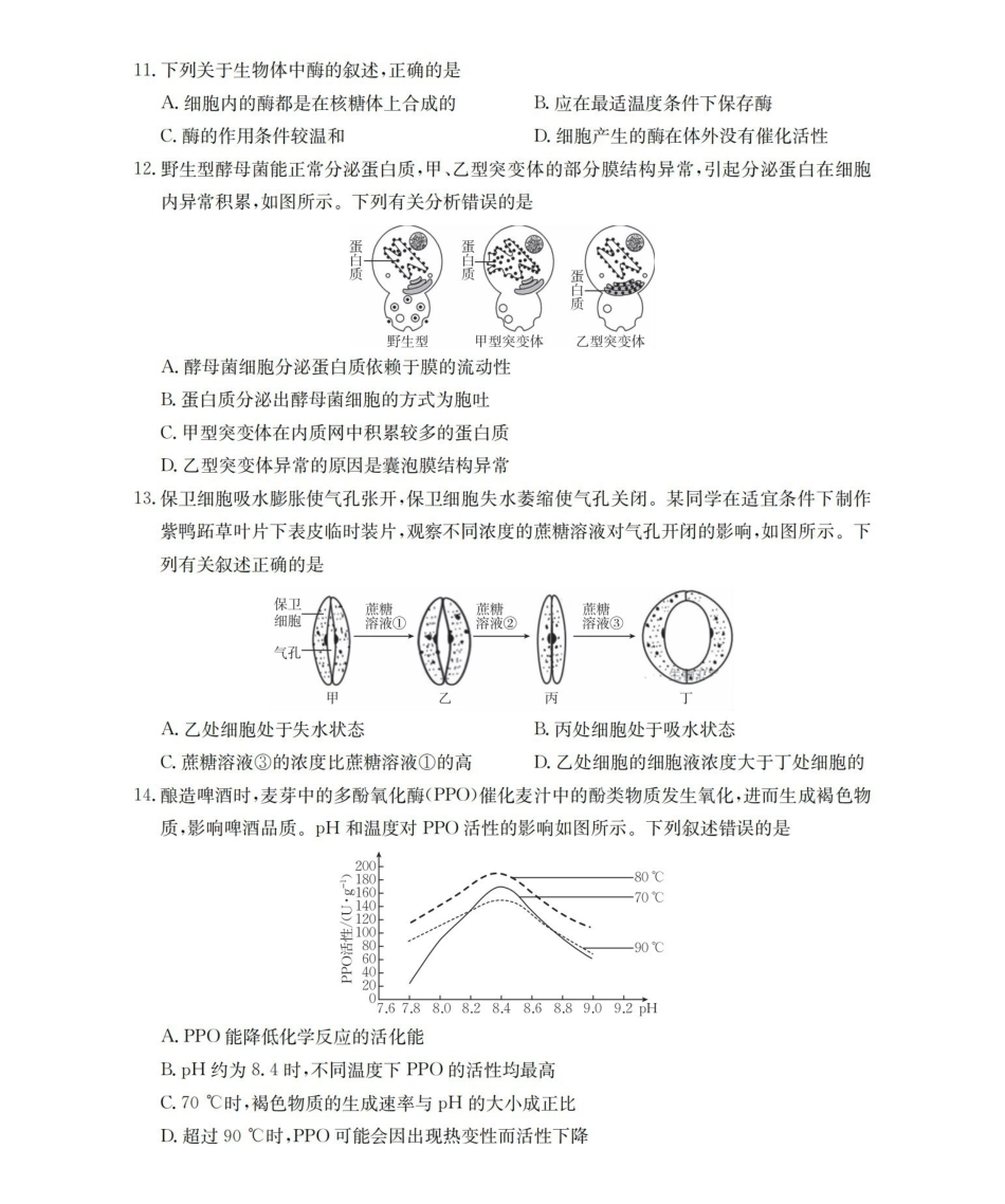 云南2028届高一上学期12月联考（26-002A）生物.pdf_第3页