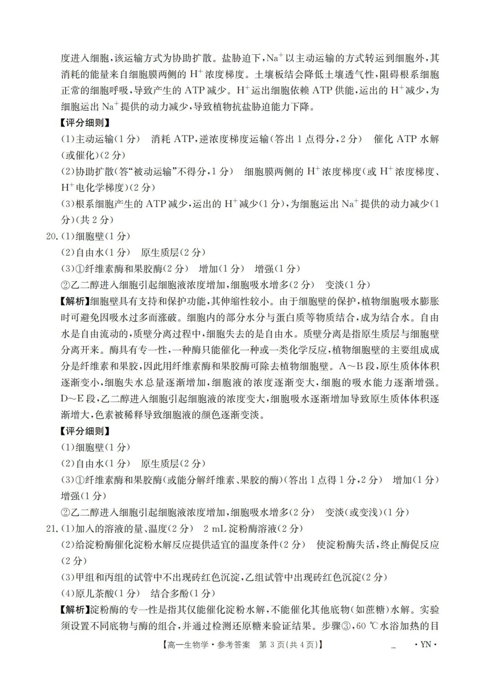 云南2028届高一上学期12月联考（26-002A）生物答案.pdf_第3页