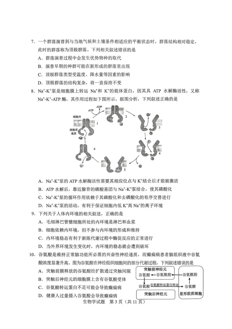 长春市2026届高三质量监测（一）生物.pdf_第3页