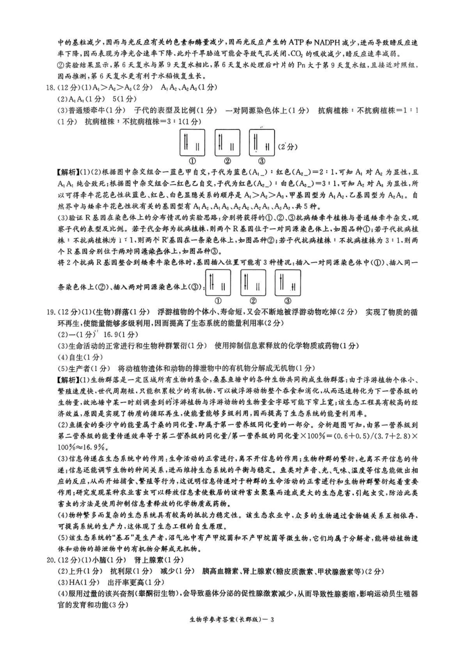 长郡中学2026届高三月考试卷（四）生物答案.pdf_第3页