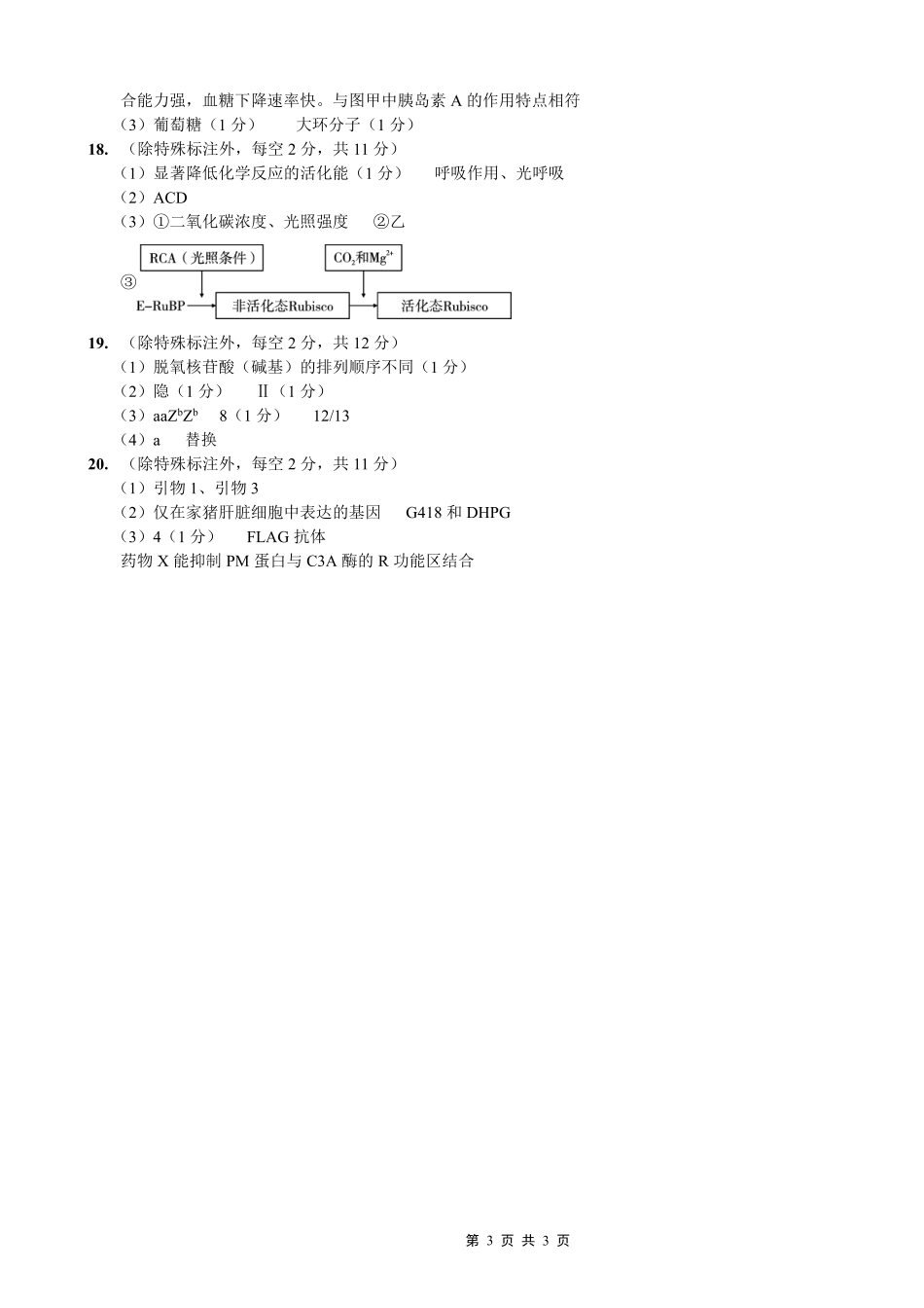 重庆市第一中学校2025-2026学年高三上学期12月月考生物答案.pdf_第3页