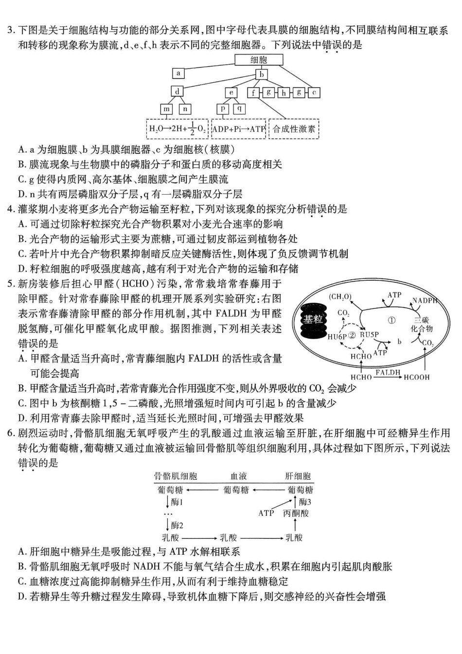 重庆市南开中学高2026届高三第五次质量检测生物.pdf_第2页