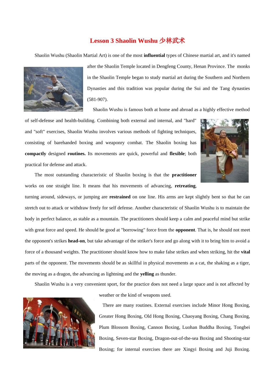 专题 16 中国文化读写专项：少林武术+中国书法-  2024年高考英语常考中国文化读写专练+素材积累 .docx_第1页