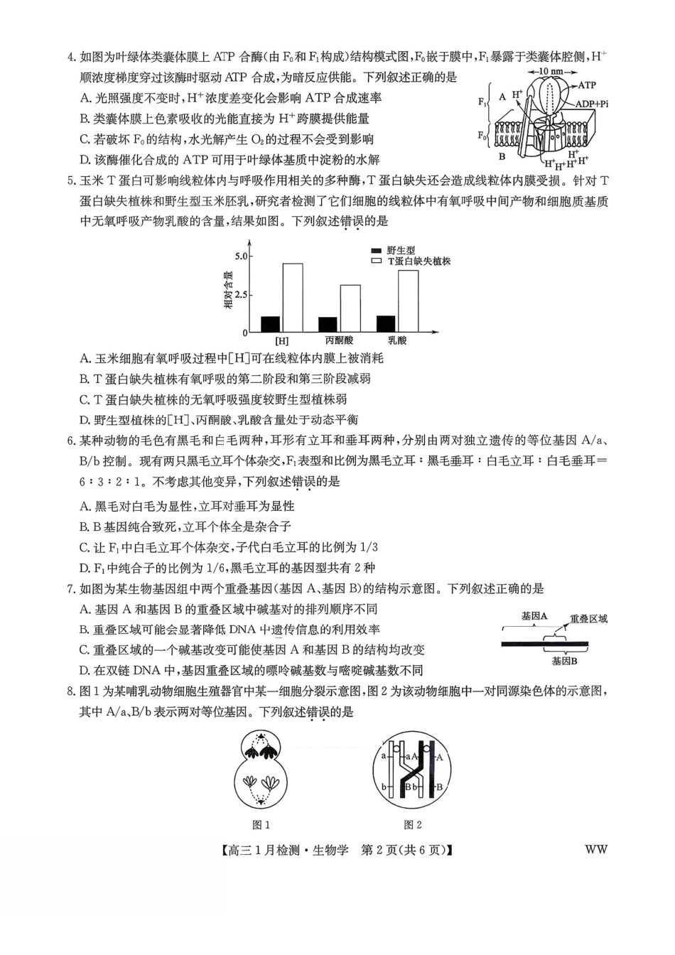 2026届九师联盟1月联考生物及答案.pdf_第2页