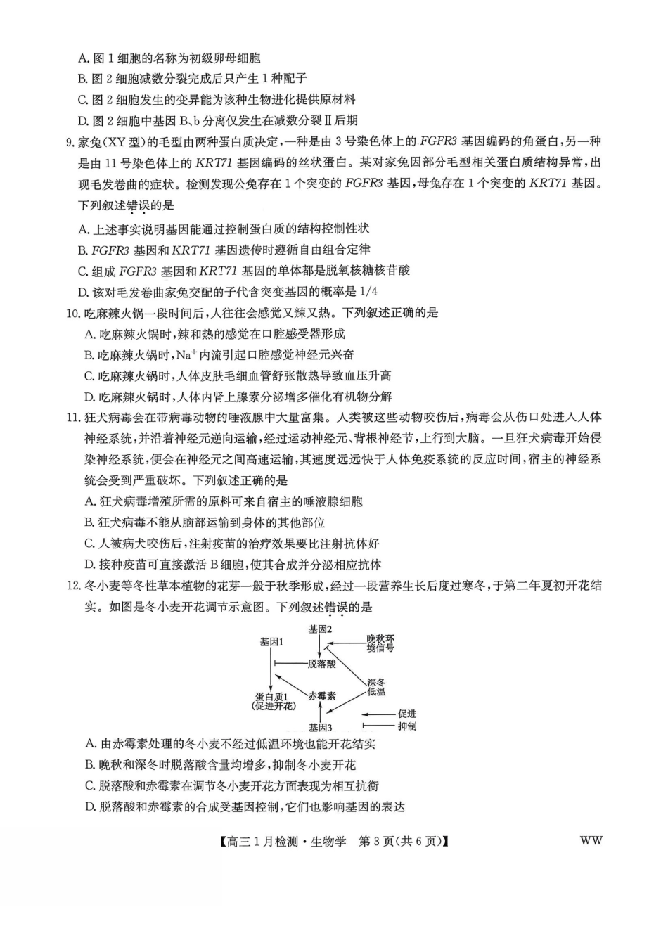 2026届九师联盟1月联考生物及答案.pdf_第3页