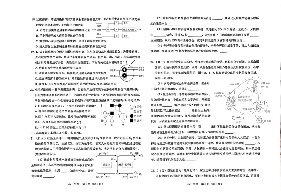葫芦岛市普通高中2025-2026学年上学期期末考试高三生物试卷.pdf_第3页