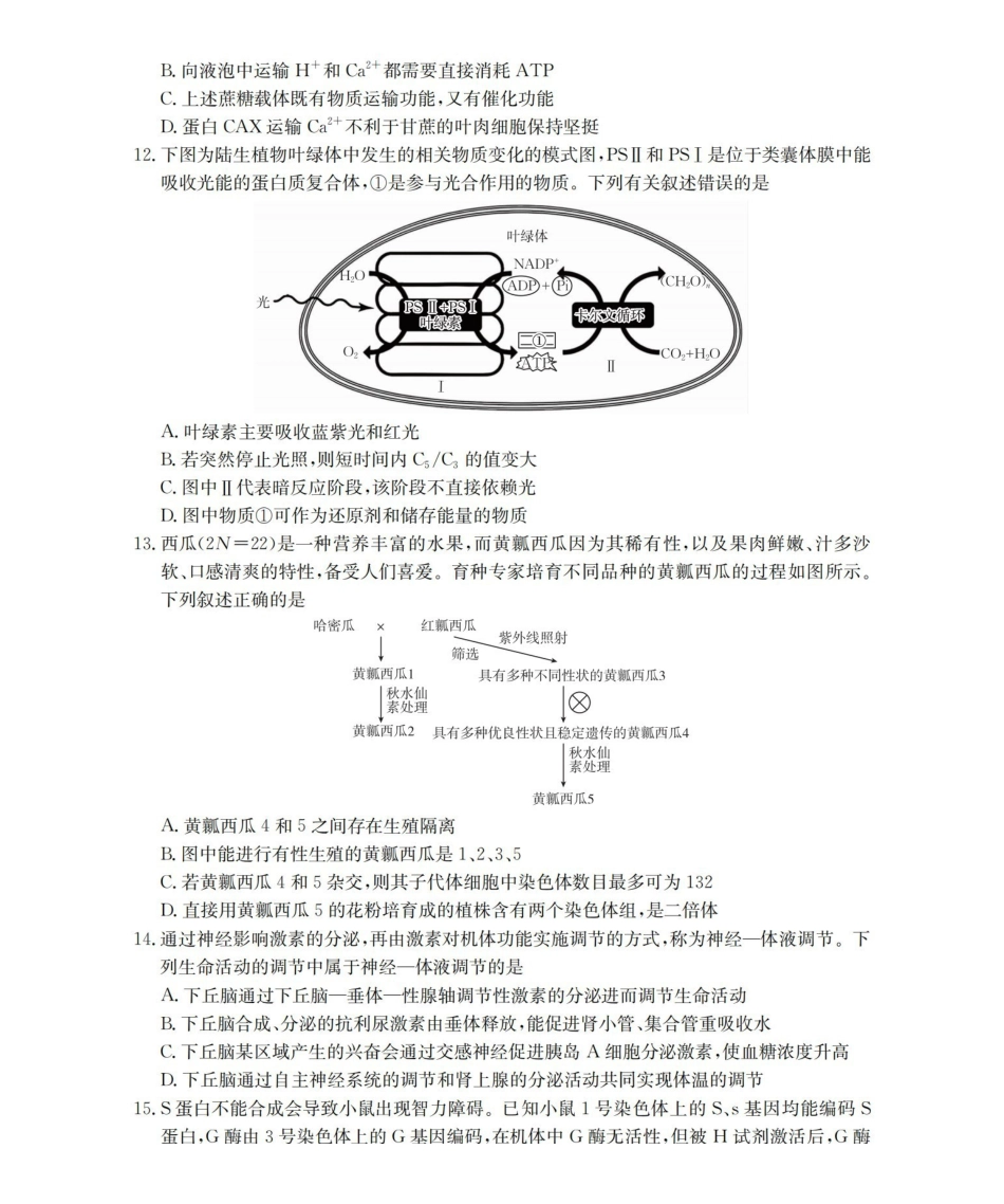 生物(26-205C)青海部分学校金太阳2026届高三上学期12月联考(26-205C)(12月底).pdf_第3页