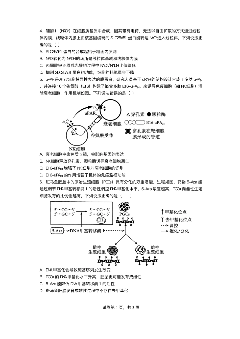 生物+答案四川绵阳南山中学实验学校2025-2026学年2026届高三上学期二诊模拟考试暨1月月考(1.13-1.14).pdf_第2页
