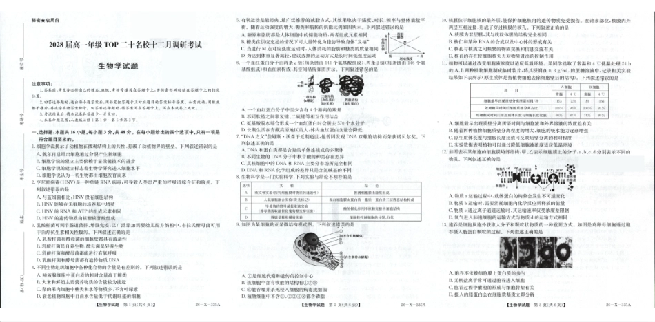 生物及答案-河南2028届高一年级TOP二十名校十二月调研考试.pdf_第1页