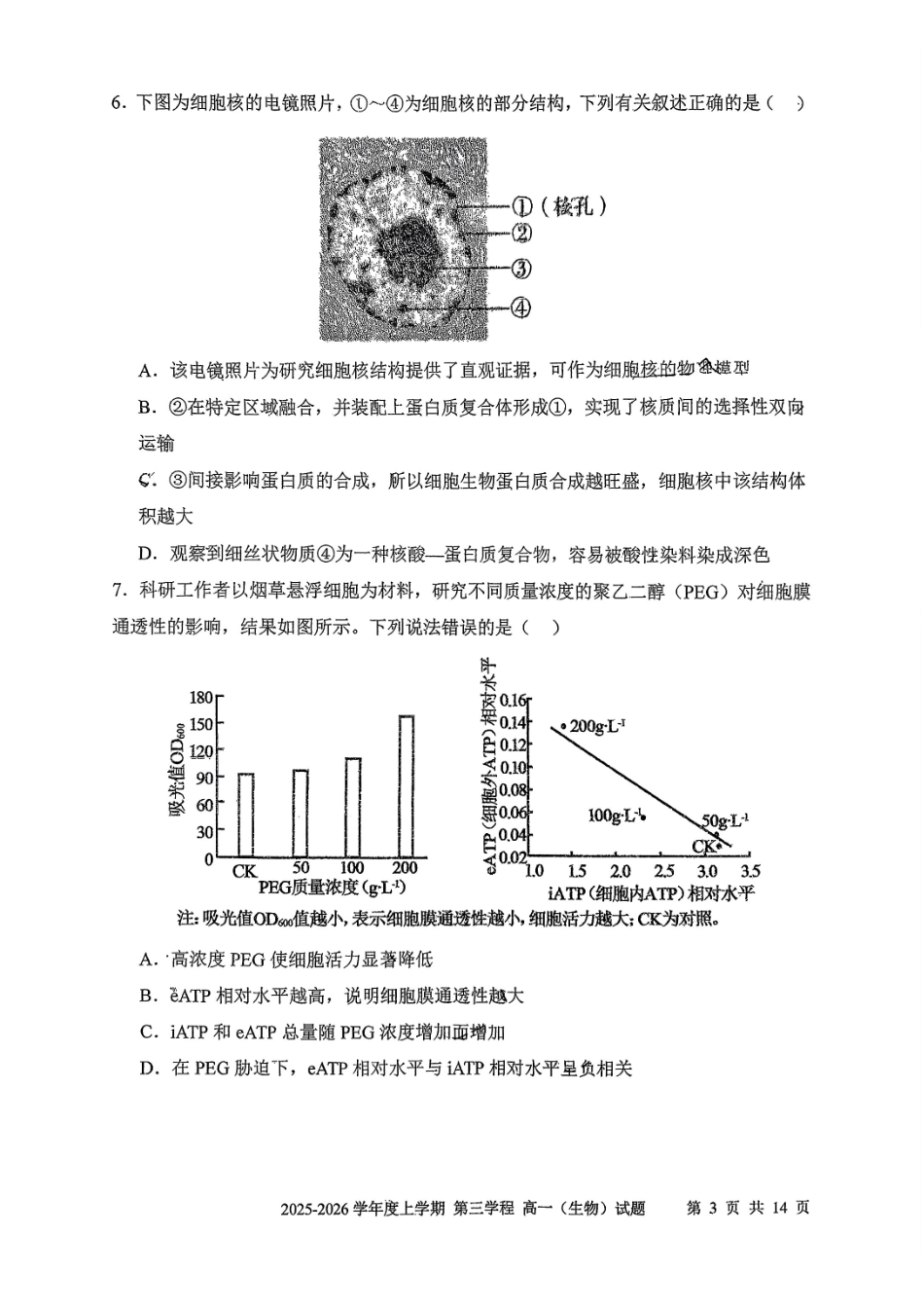 生物-吉林长春市第十一中学高中2025-2026学年1月高一上学期第三学程考试暨期末考试(1.13-1.14).pdf_第3页