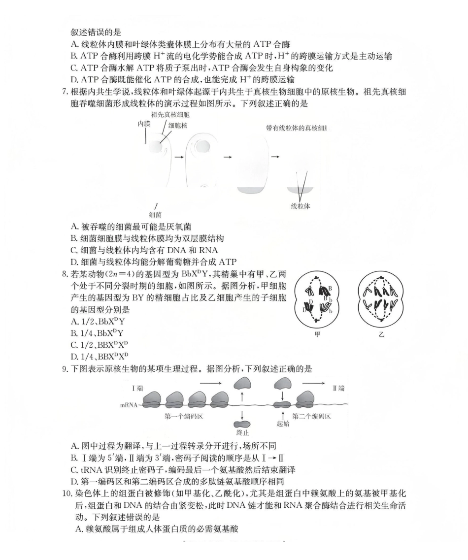 新疆2026届高三上学期12月联考（26-159C）生物.pdf_第2页