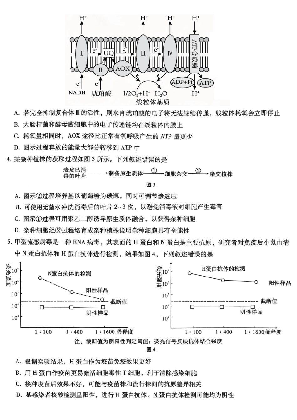 重庆市第八中学2026届高考适应性月考卷（五）生物.pdf_第2页