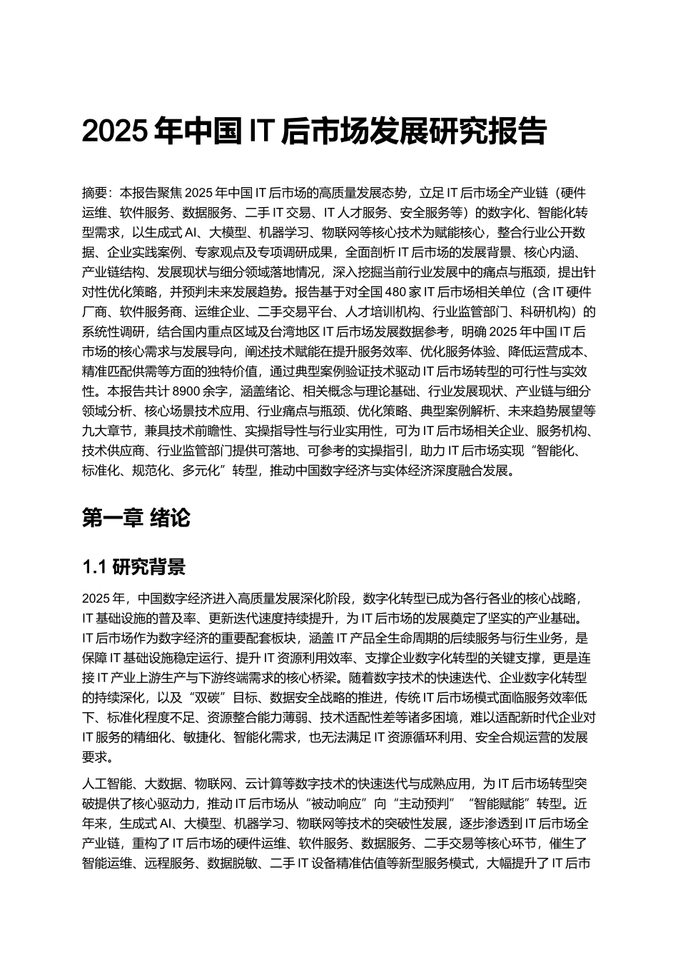 2025年中国IT后市场发展研究报告.docx_第1页