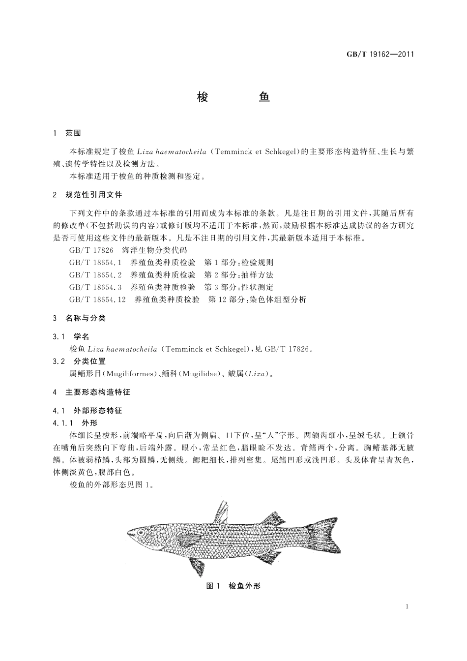 GB／T 19162-2011 梭鱼.pdf_第3页
