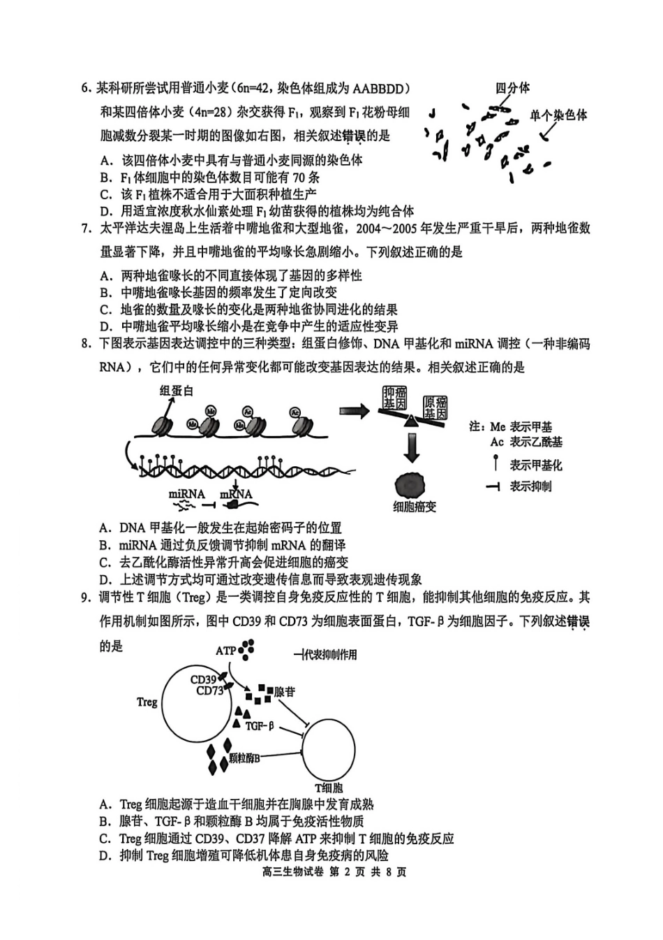 【生物】江苏无锡市2025-2026学年度第一学期2026届高三年级期末教学质量监测考试(2.2-2.4).pdf_第2页