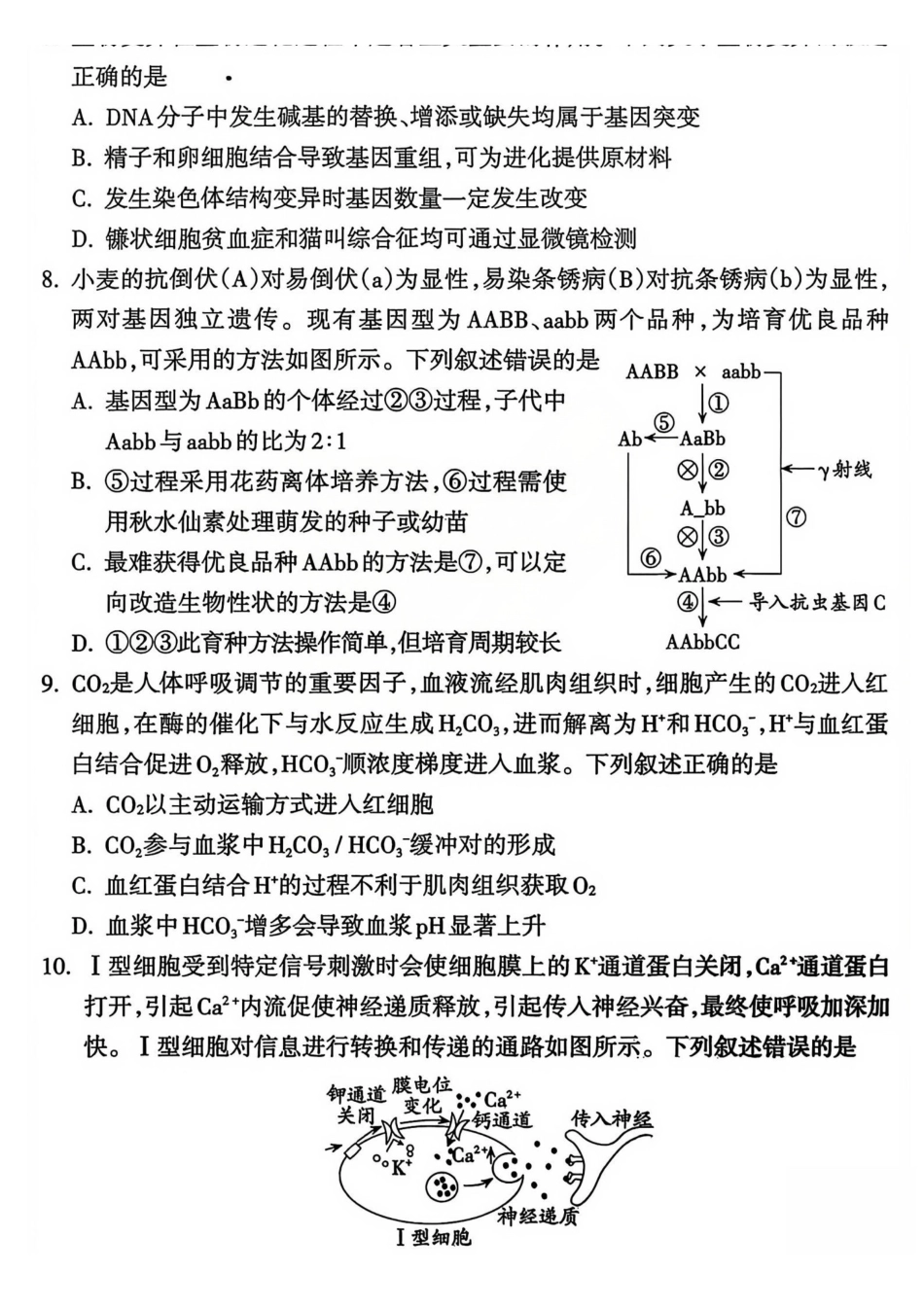 2025-2026学年高三第一学期期末调研测试生物.pdf_第3页