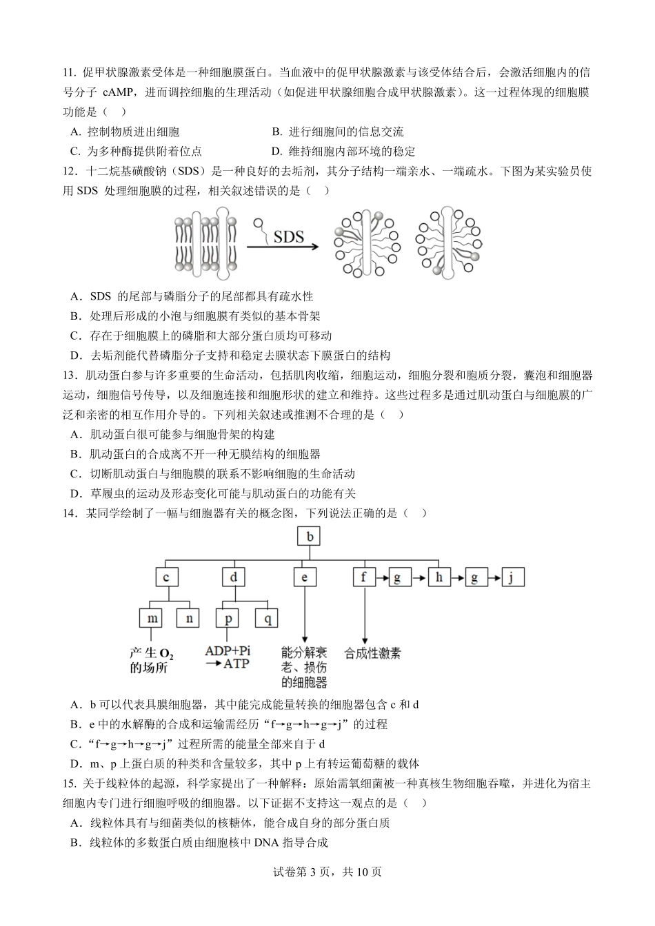 2025一2026学年度上期高2028届期末考试生物.pdf_第3页