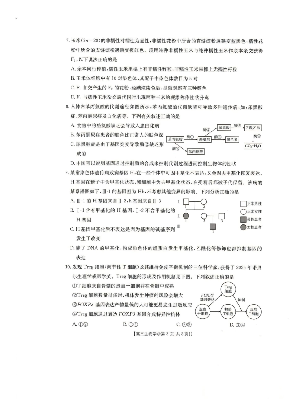 安徽阜阳市2025-2026学年度高三1月教学质量监测（阜阳一模）生物.pdf_第3页