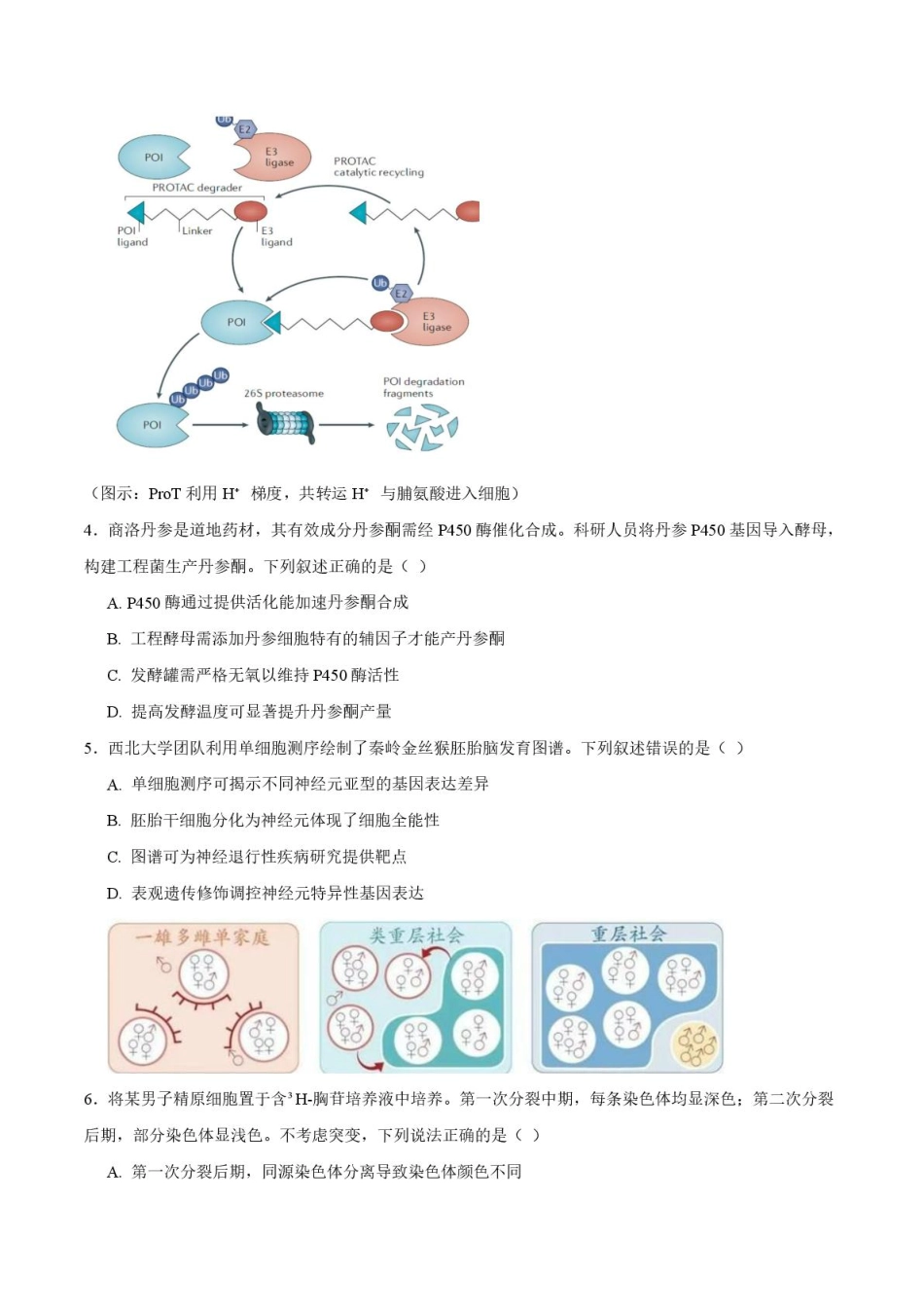 安康市2026年第一次模拟预测生物+答案.pdf_第2页