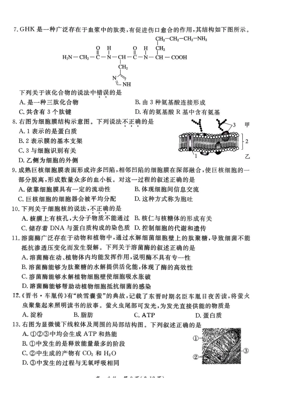 北京市东城区2025-2026学年高一上学期期末生物试卷(含答案).pdf_第2页