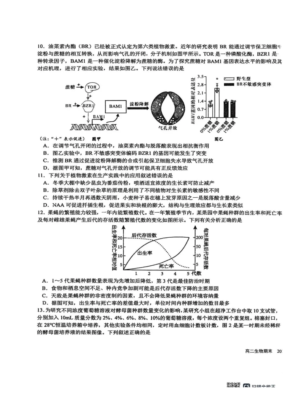 成都市树德中学高2024级高二上期期末测试生物+答案.pdf_第3页