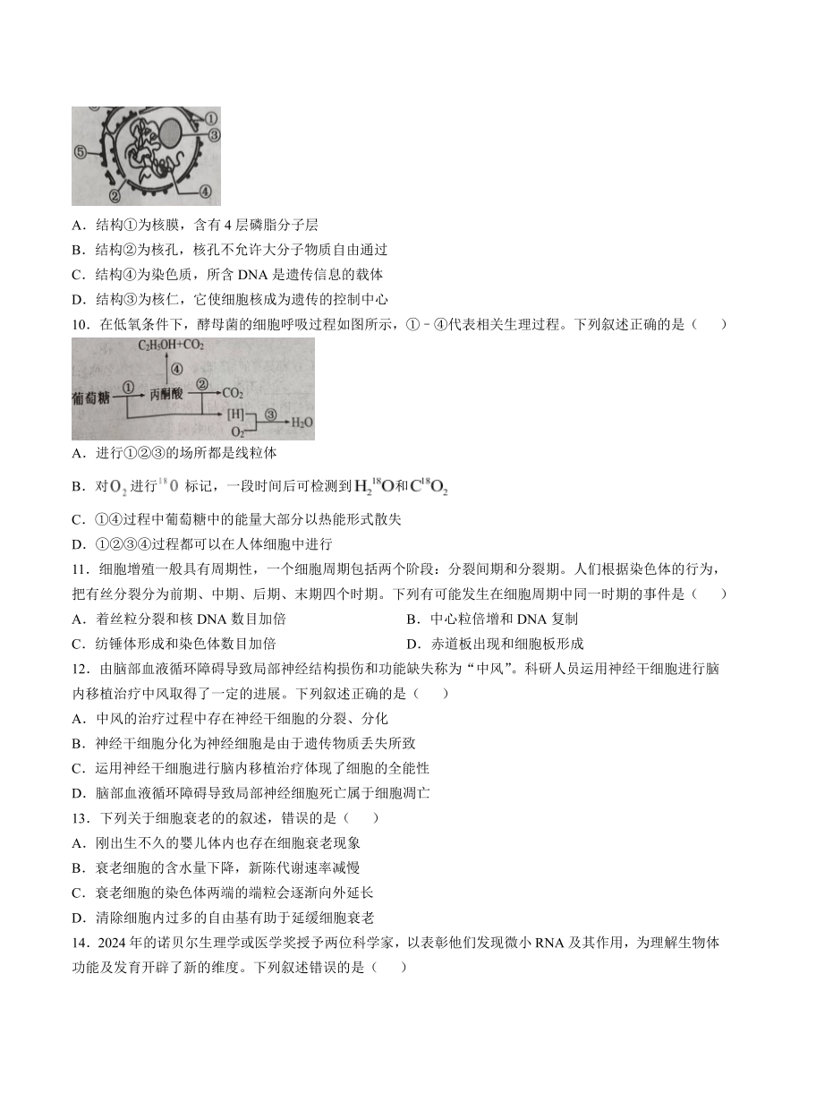 德阳市2025—2026学年高一上学期期末考试生物.pdf_第2页