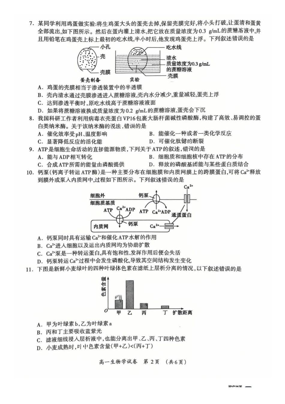 桂林市2025-2026学年度上学期期末质量检测高一年级生物学2025-2026学年度上学期期末质量检测高一年级生物学试题.pdf_第2页