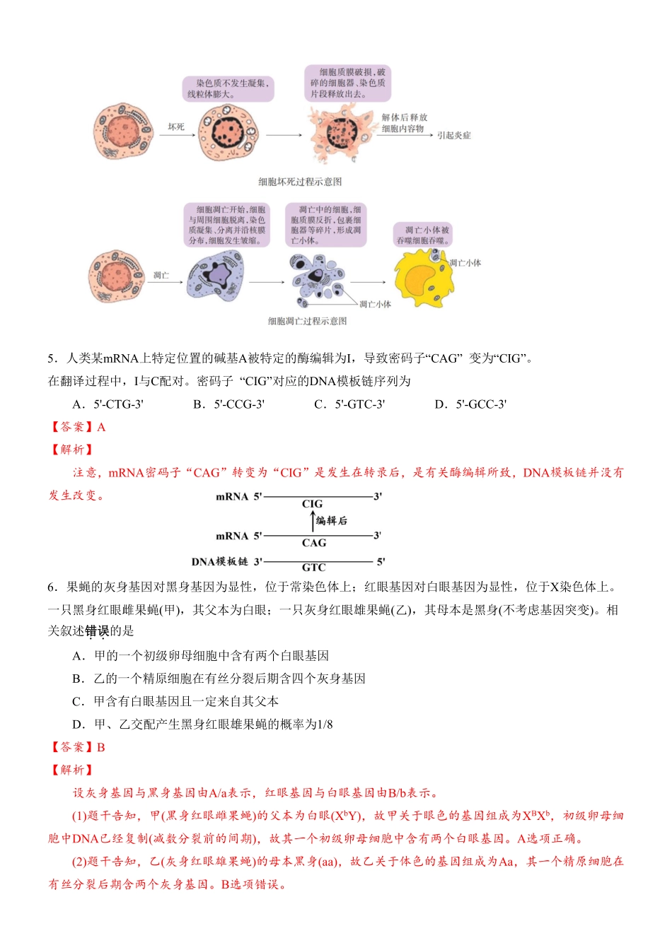 合肥市第一中学2025-2026学年高三上学期1月测试生物答案.pdf_第3页