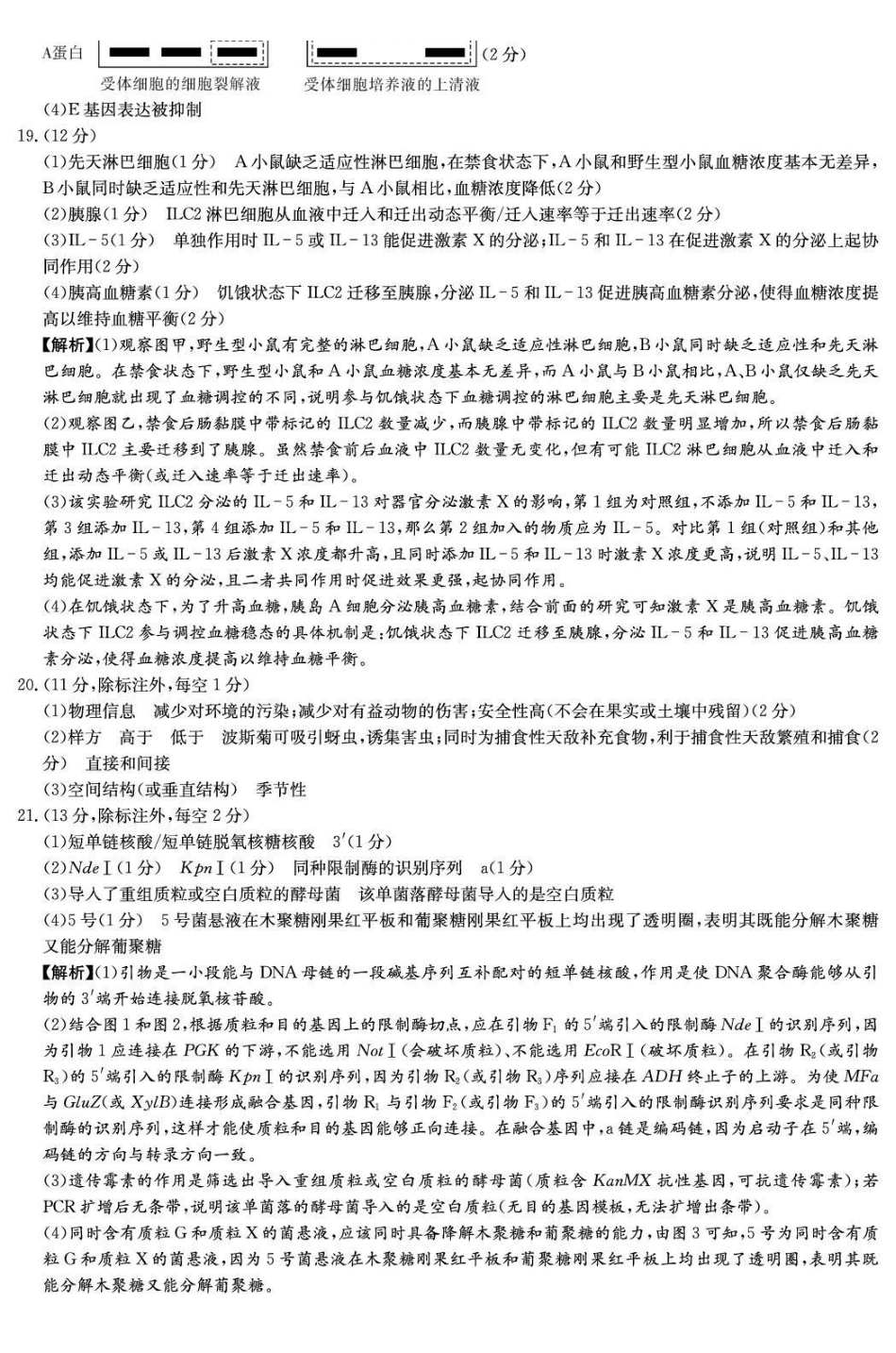 湖南师大附中2026届高三月考试卷(六)生物答案.pdf_第3页