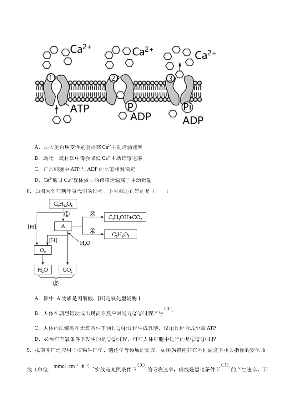 湖南师范大学附属中学2025-2026学年高一上学期期末生物试卷(含答案).docx_第2页