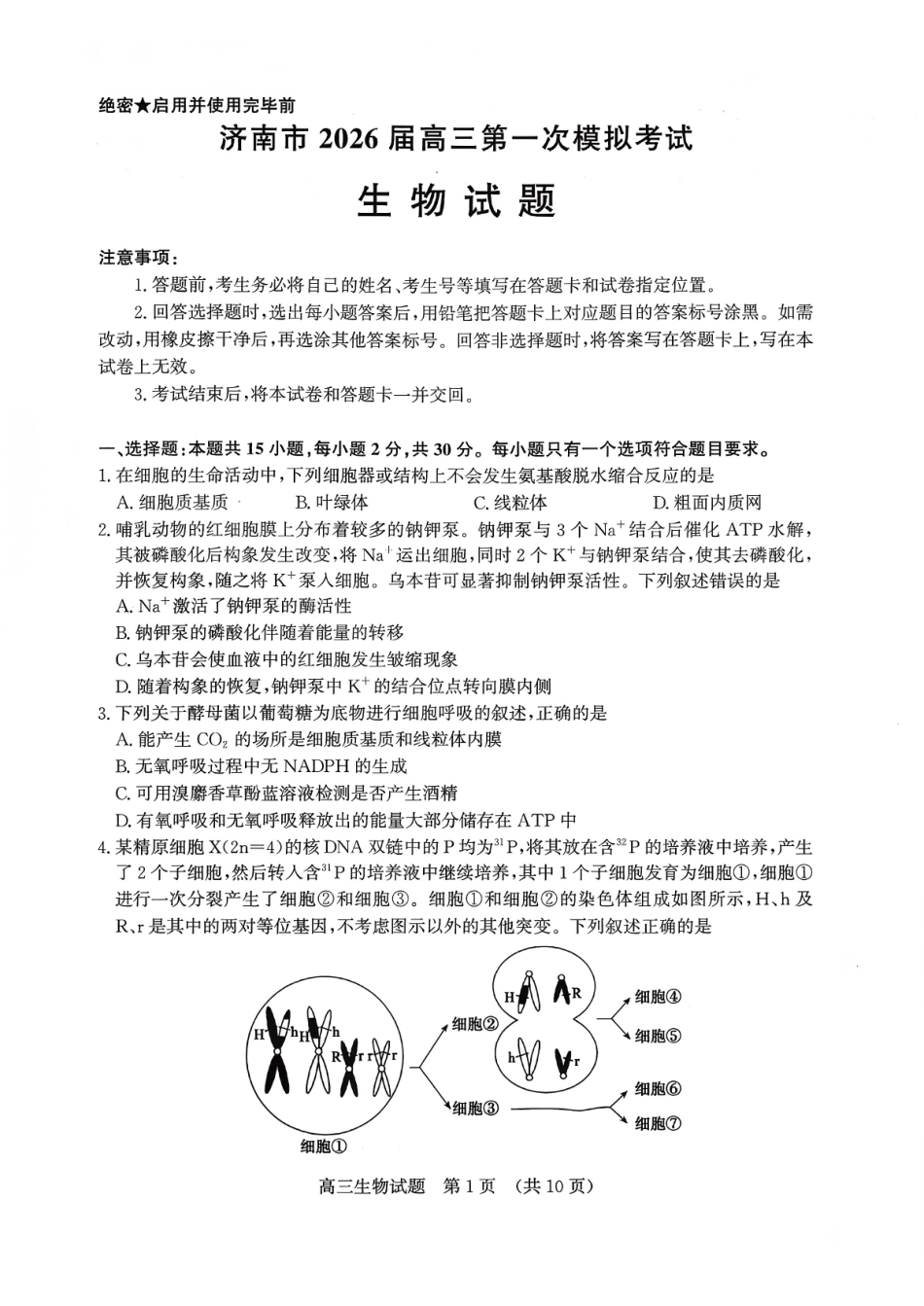 济南市2026届高三第一次模拟考试生物+答案.pdf_第1页