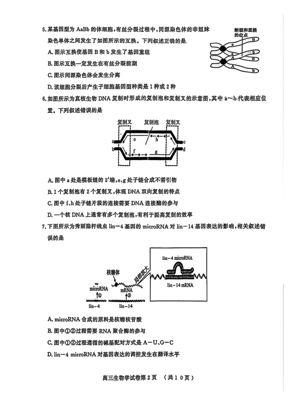 江苏南京市、盐城市2026届高三第一次模拟考试生物.pdf_第2页
