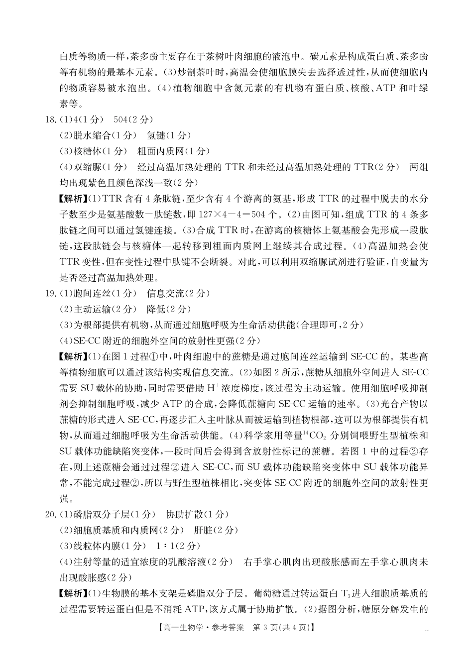 金太阳江西2025一2026学年高一年级上学期学科期末素养训练生物学答案.pdf_第3页
