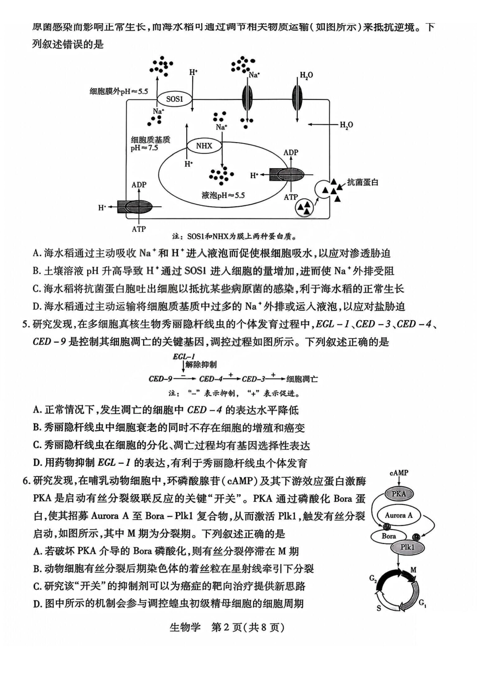 晋中市2026年2月高三年级适应性调研测试生物.pdf_第2页