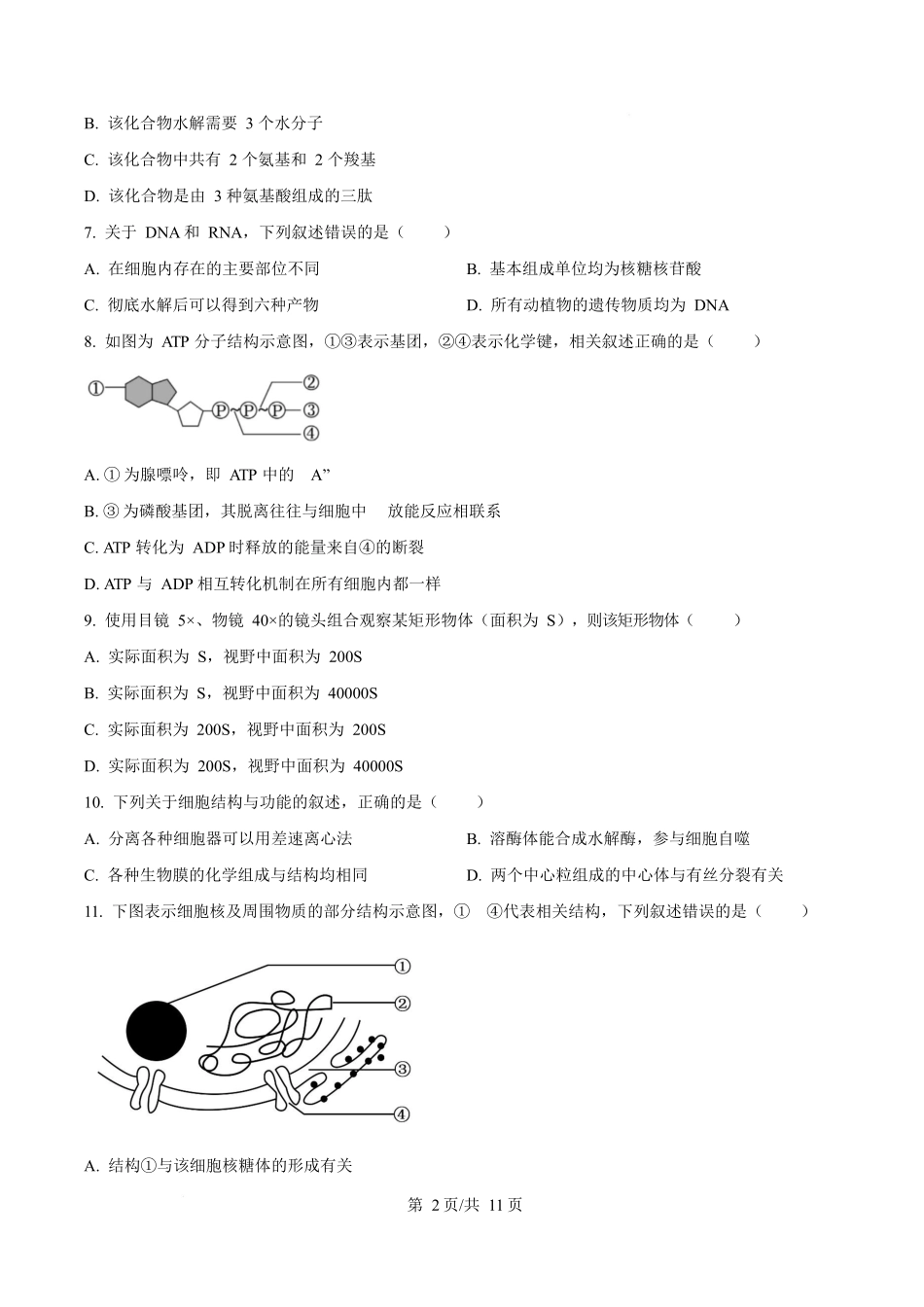 辽宁葫芦岛市2025-2026学年高一上学期1月期末考试生物试卷(含答案).docx_第2页