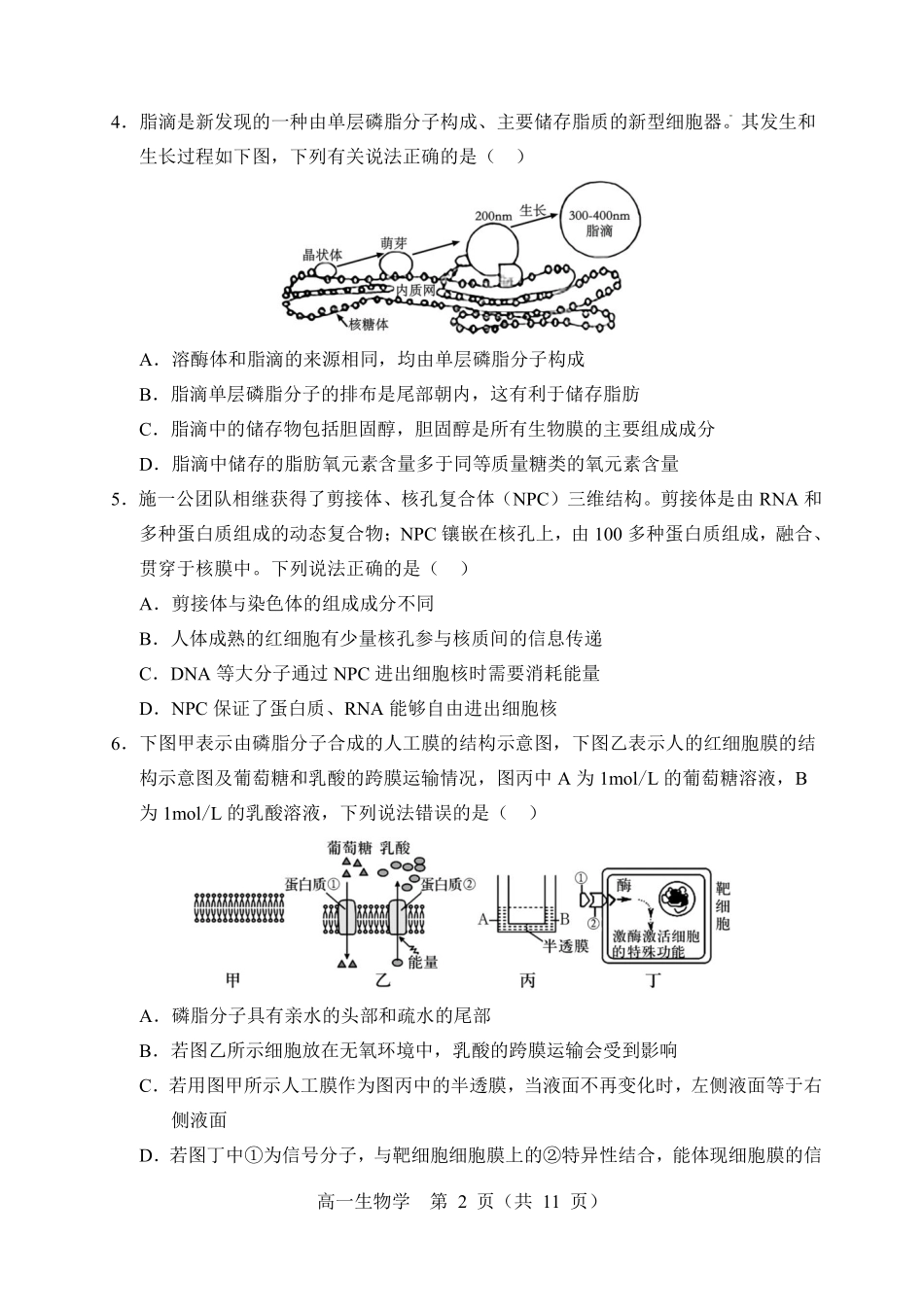 辽宁重点高中沈阳市郊联体2025-2026学年高一上学期期末生物试卷含答案.pdf_第2页