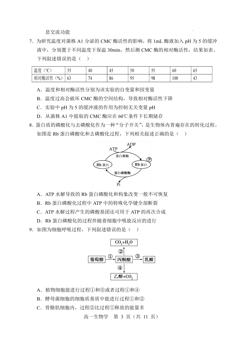 辽宁重点高中沈阳市郊联体2025-2026学年高一上学期期末生物试卷含答案.pdf_第3页