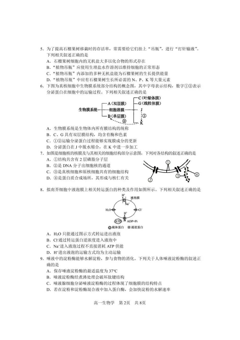 攀枝花市2025-2026学年度高一(上)教学质量监测样卷生物.pdf_第2页