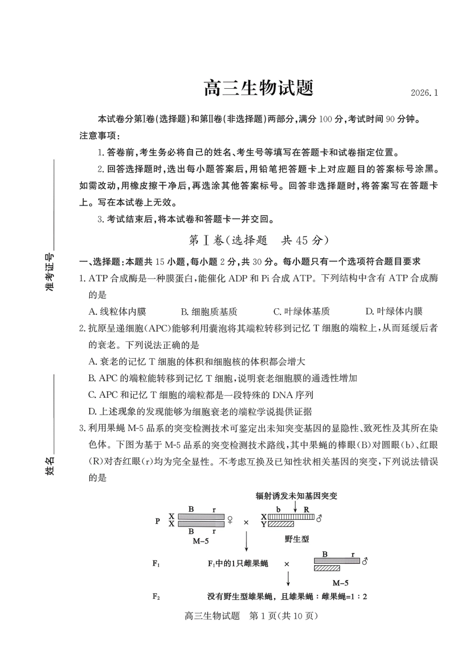 山东德州市2026届高三上学期期末考试生物+答案.pdf_第1页